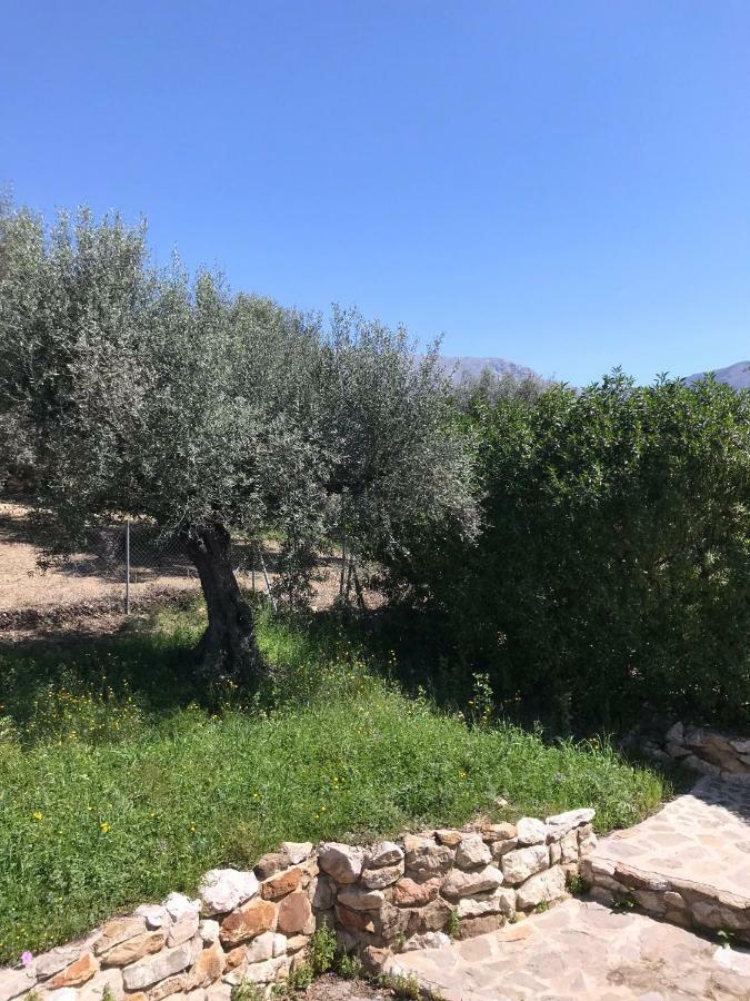 Villa Zahar Periana المظهر الخارجي الصورة