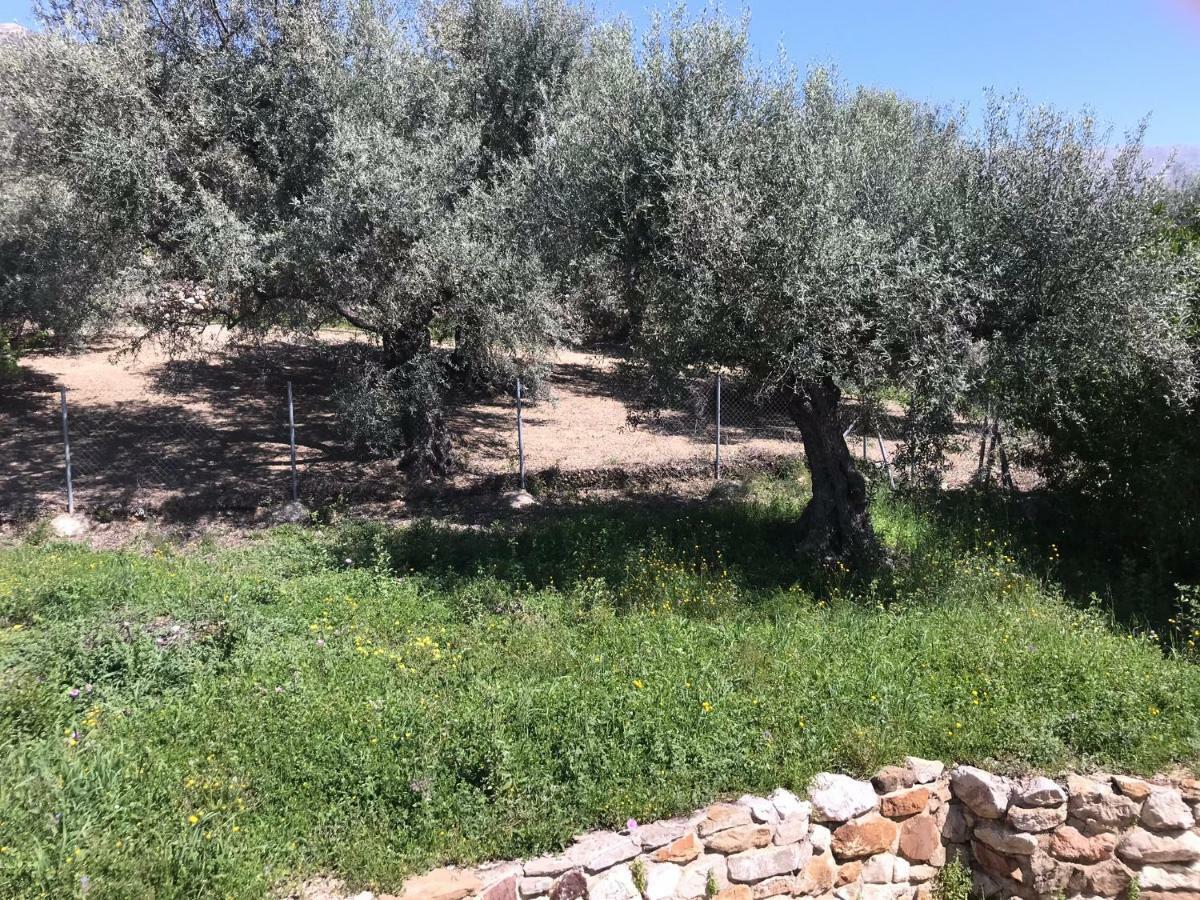 Villa Zahar Periana المظهر الخارجي الصورة